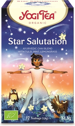 YOGI TEA BIO STAR SALUTATION 17ST